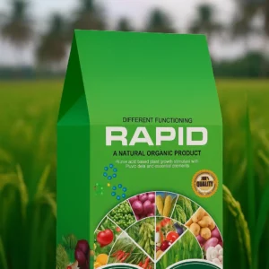 3. Rapio